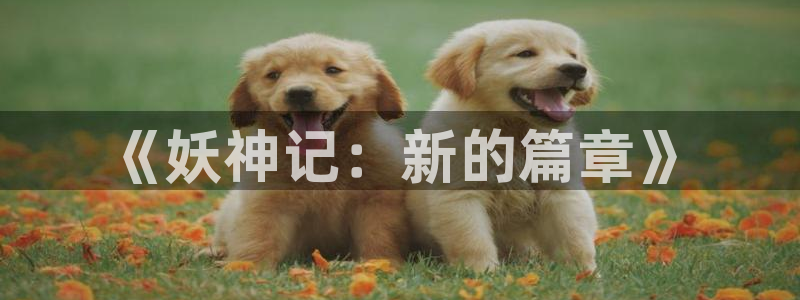 羞羞漫画漫画在线看
