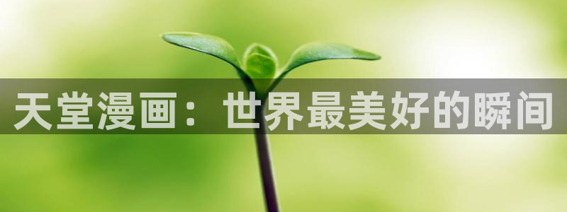 羞羞漫画sss入口