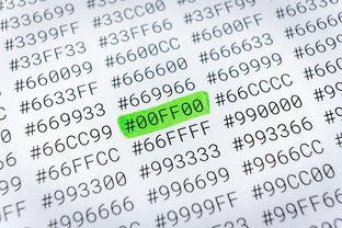 快连客服联系方式汇总：官方支持渠道完整清单 - 快速解决网络连接问题