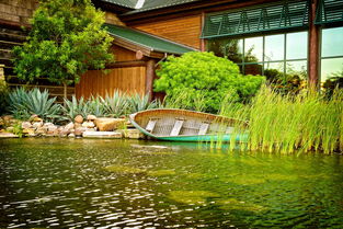 阳台绿植养护完整手册：打造完美花园，轻松享受城市自然生活