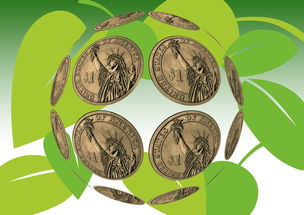 保护地球环境：日常生活中的环保实践指南，轻松养成绿色习惯