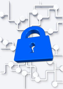 隐私保护专家推荐：最安全的VPN服务测评，告别网络追踪，享受安全便捷的数字生活