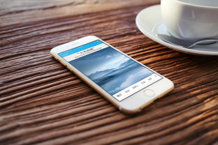 安卓手机加速器实测：这五款效果最明显，告别卡顿享受流畅体验