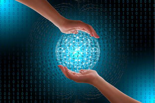 加速器与投资机构：如何建立长期合作关系，实现共赢与持续创新