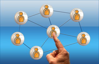 加速器品牌价值如何提升行业影响力：从信任网络到资源整合的实战指南